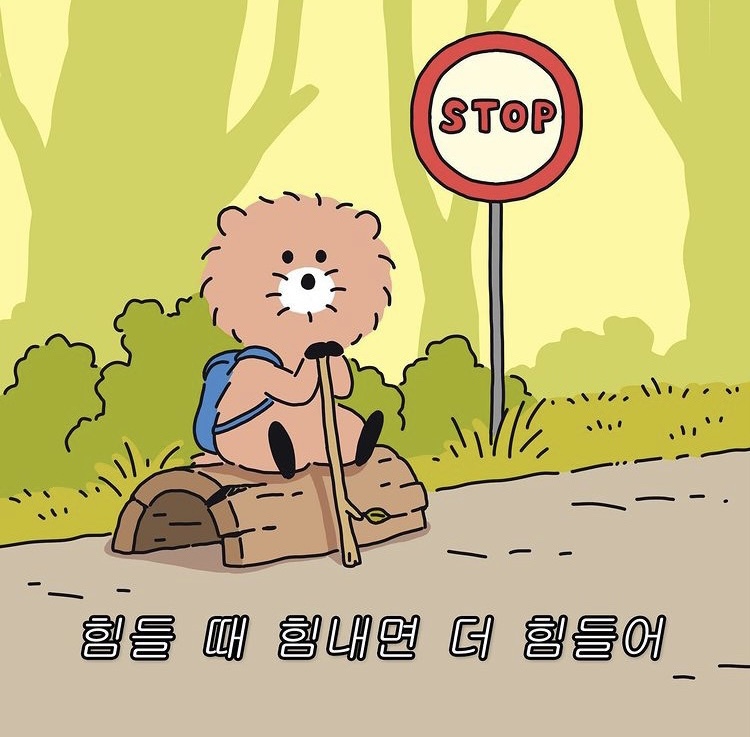 세종모터스 이미지