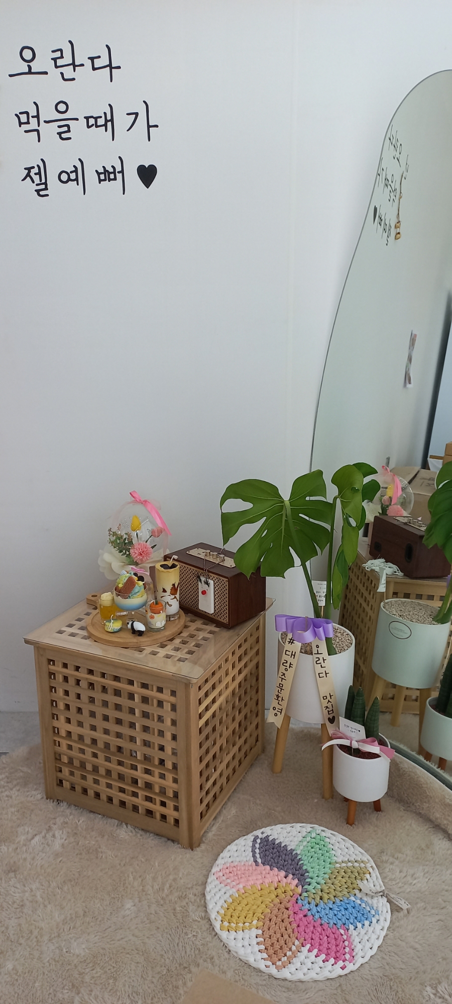 울산오란다 이미지