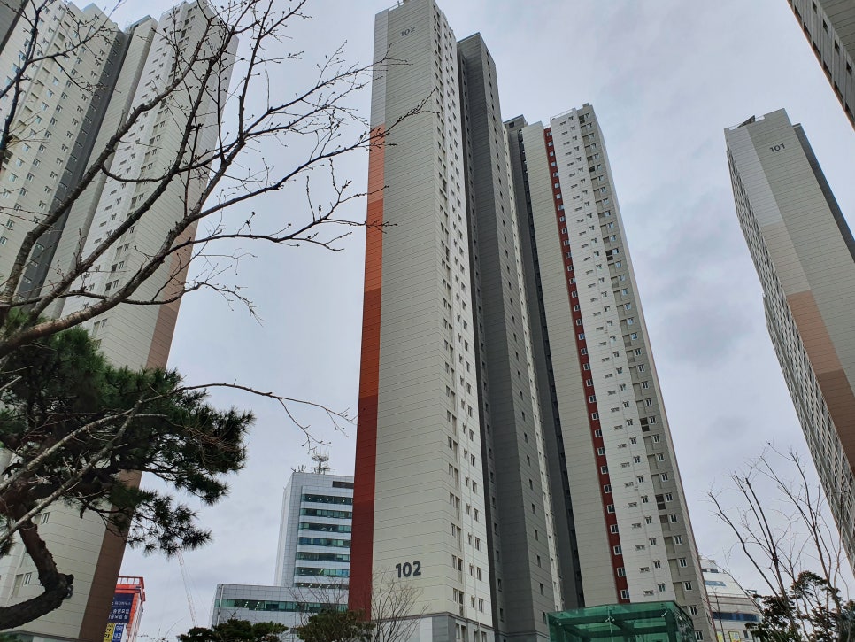 미래수선 이미지