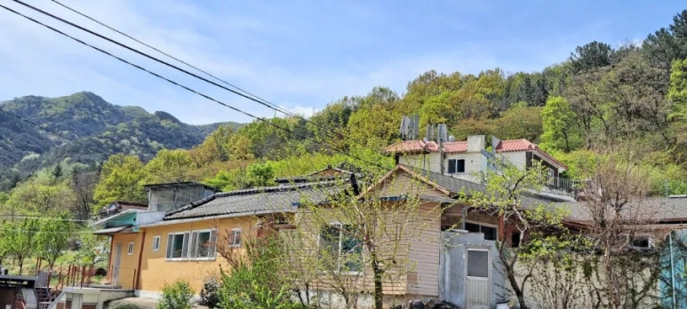 카페몽티603베이커리 이미지