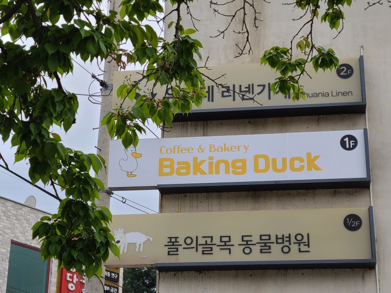 베이킹덕 이미지
