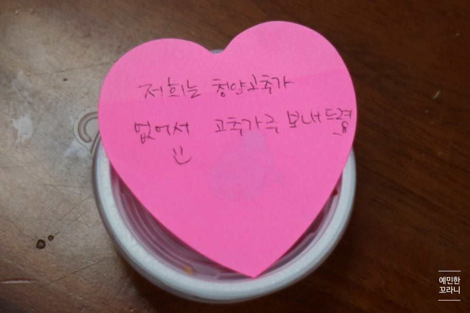마이픽샌드위치 이미지