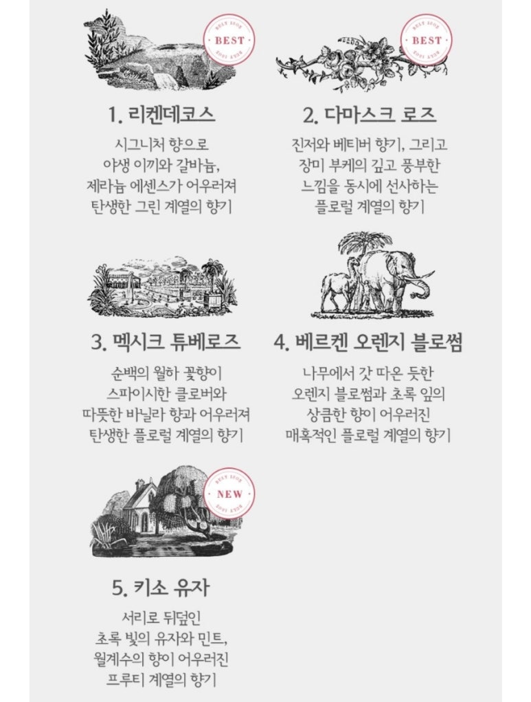 바디윌 이미지