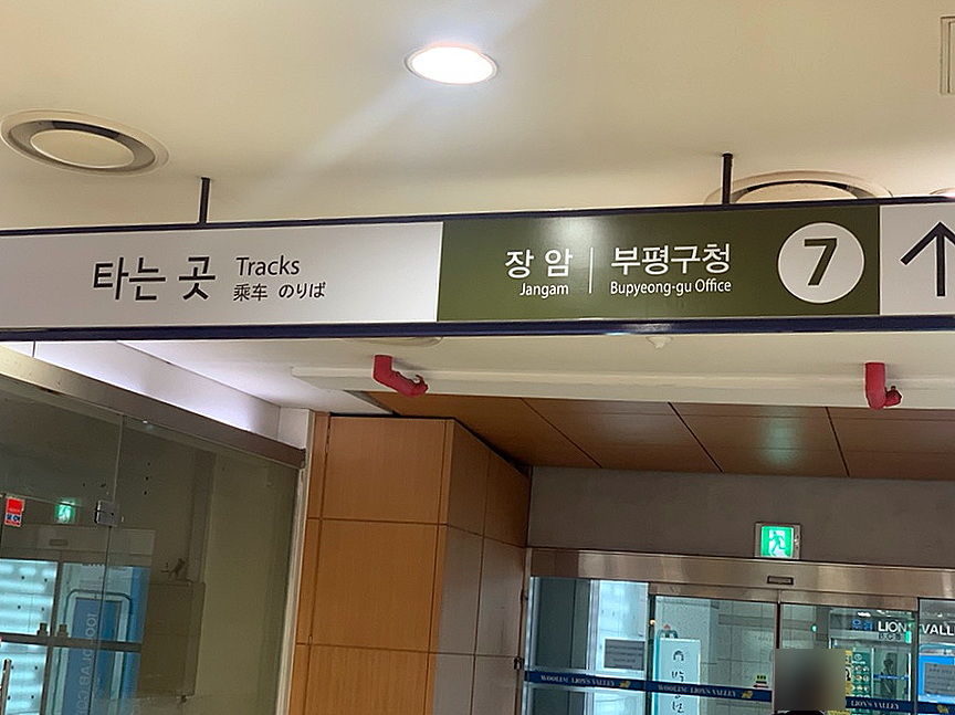 오한수 우육면가 가산점 이미지