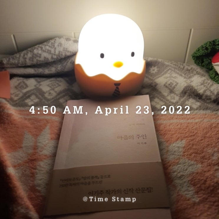 일일일영 이미지