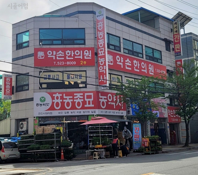 중앙종묘농약사 이미지