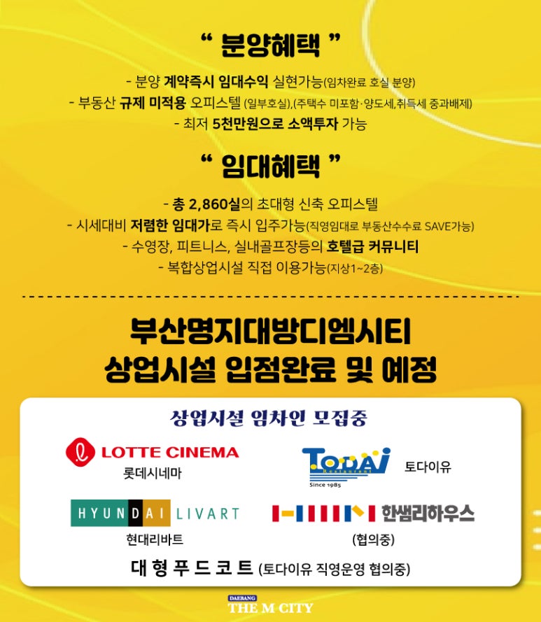 나라디엠 이미지