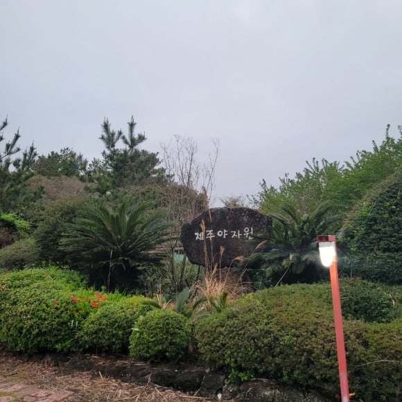 제주 야자원 이미지