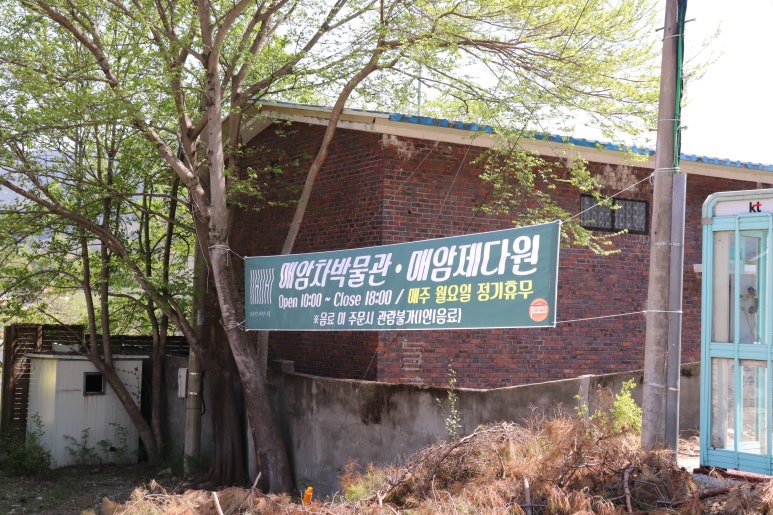다원다방 이미지