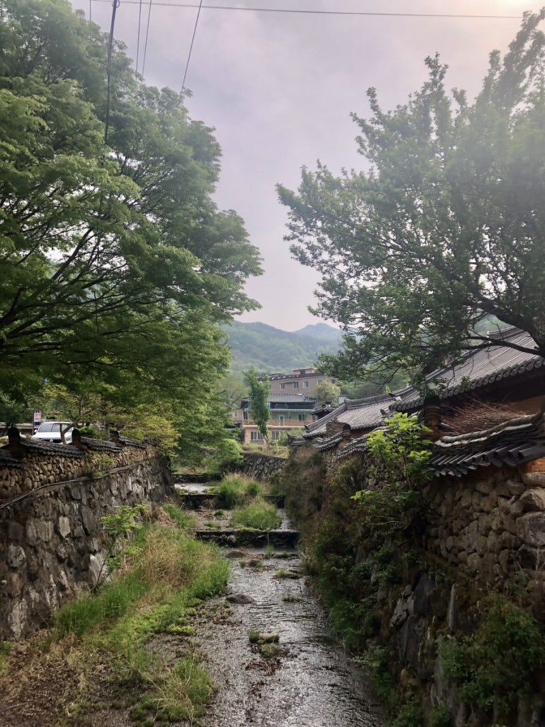 라원의티스토리 이미지