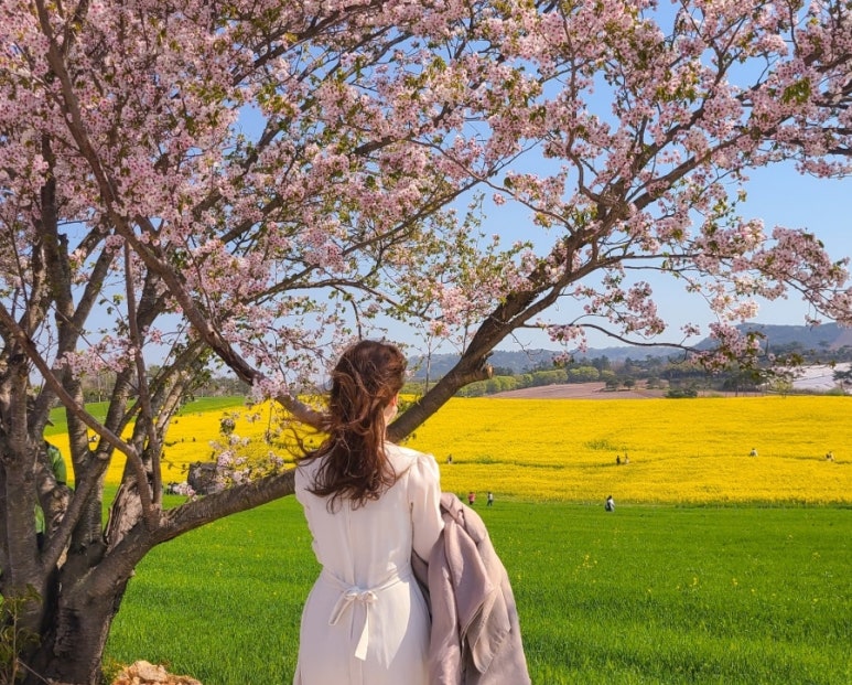 꽃밭에서농장직영 이미지