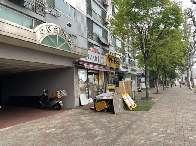 노벨로(novello) 이미지
