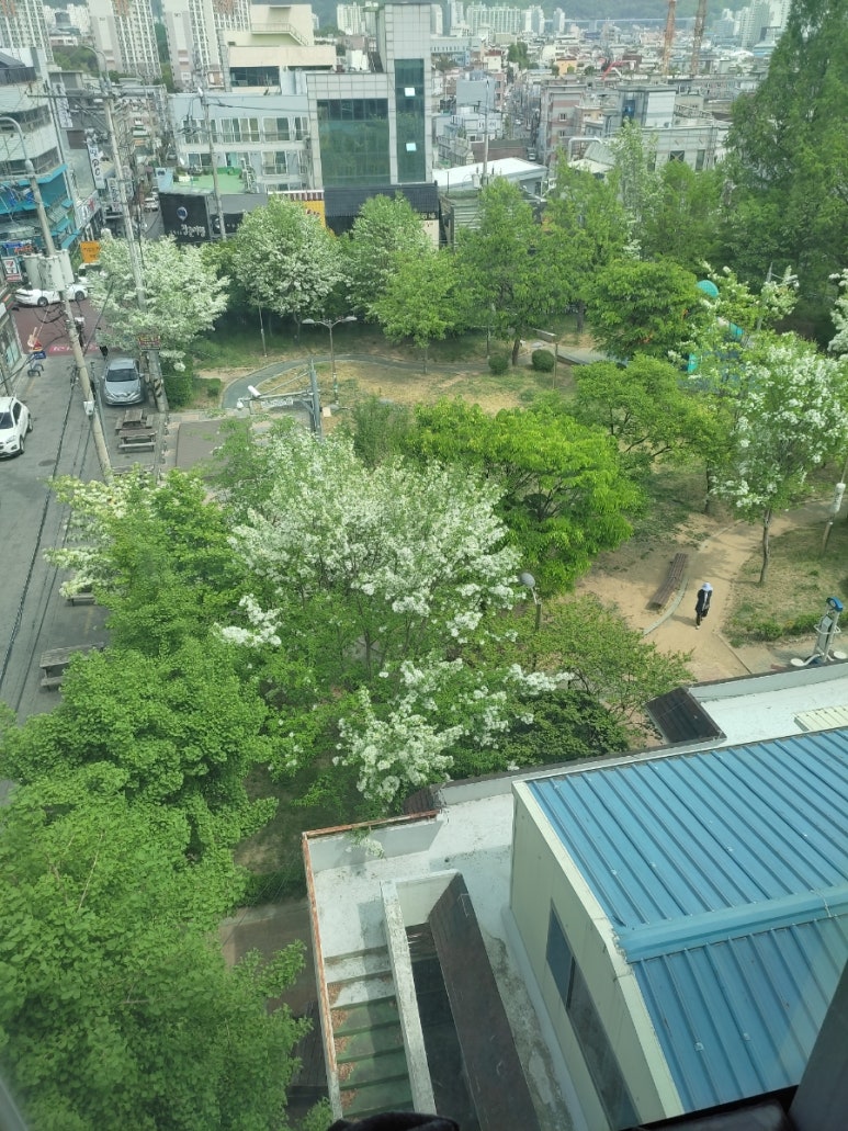 데굴데굴당구장 이미지