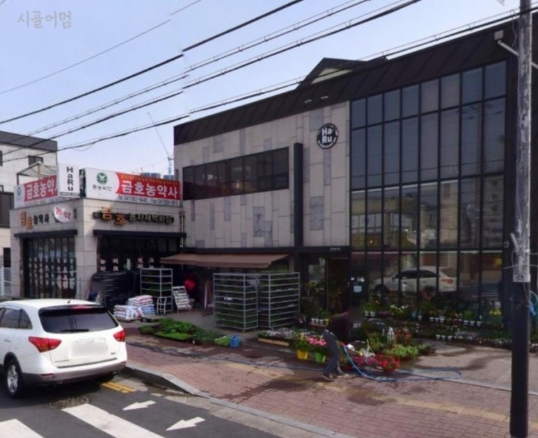제일종묘사 이미지