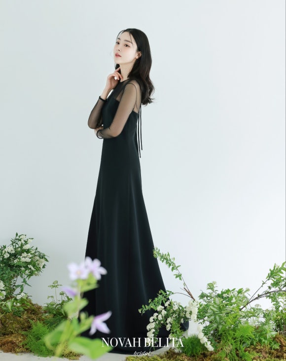 노바 벨리타 이미지