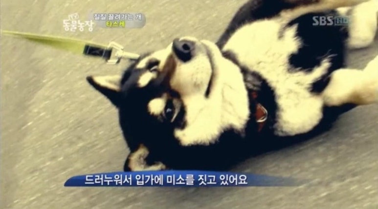 광기획 이미지