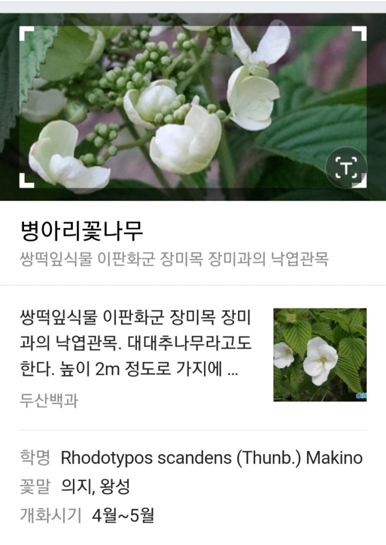 아가페과자점 이미지