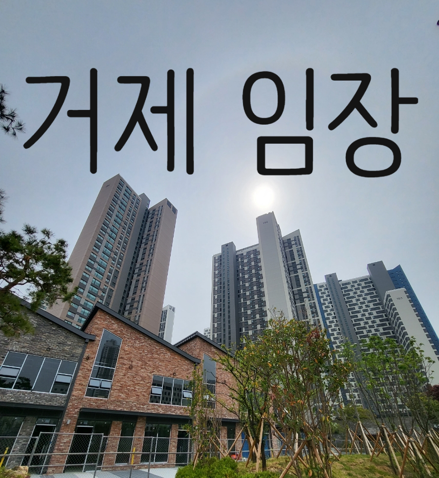 네이버블로그