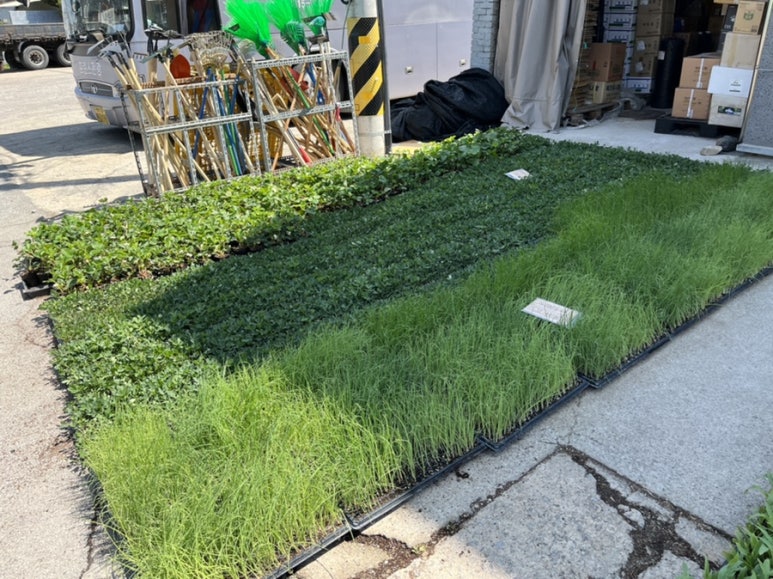 한농농약사 이미지