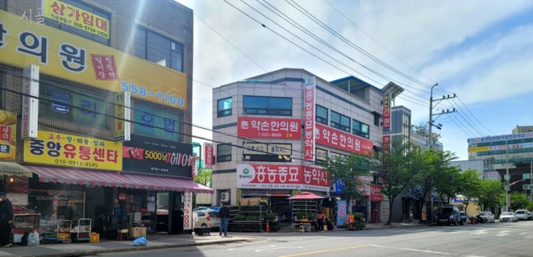 제일종묘사 이미지