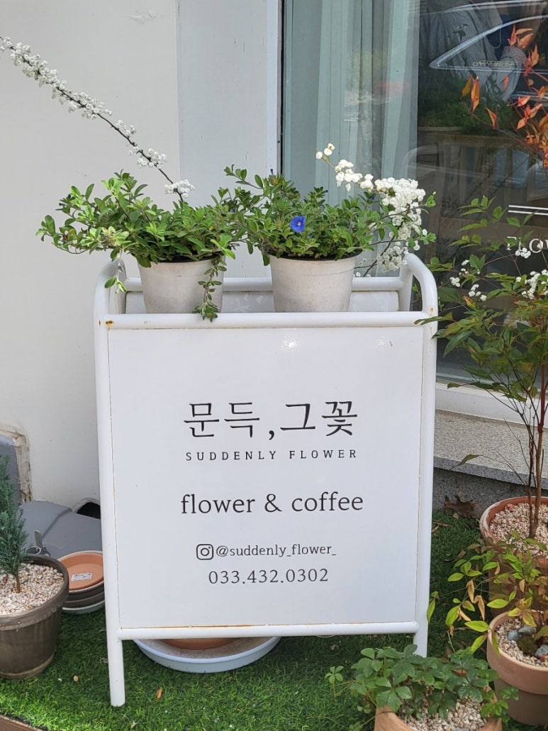 문득그꽃 이미지