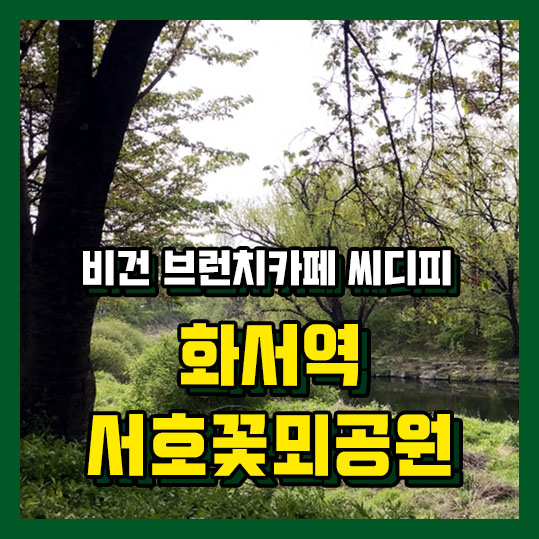 씨디피(CDP) 이미지