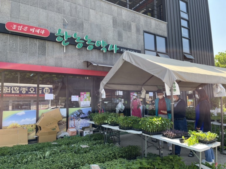 한농농약사 이미지