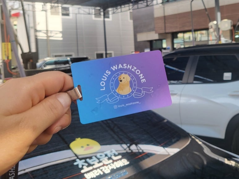 루이네워시존 이미지