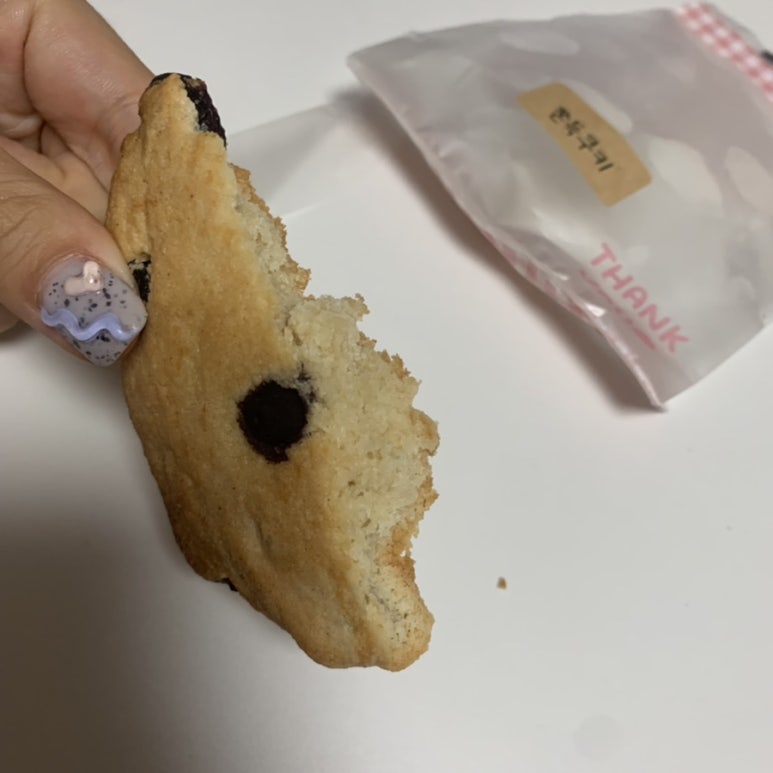 꼬타루 이미지
