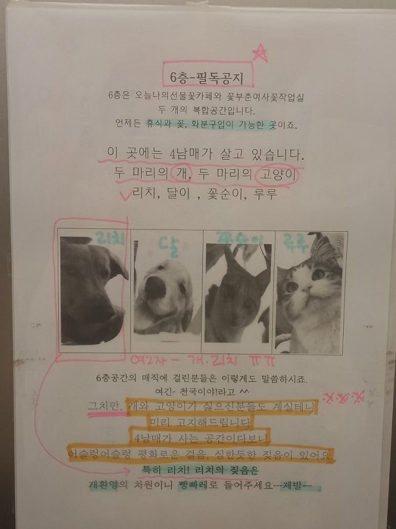 꽃;부춘여사 이미지