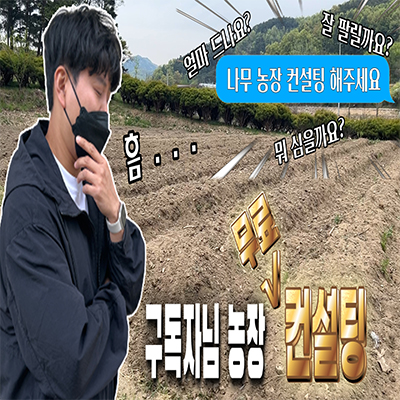 나무컨설팅 이미지
