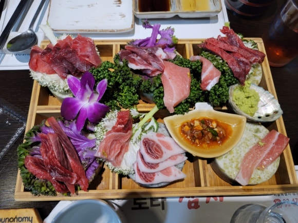 로타참치 이미지