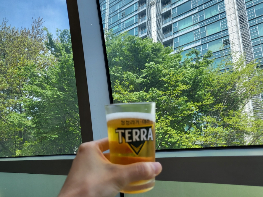 일일향 이미지