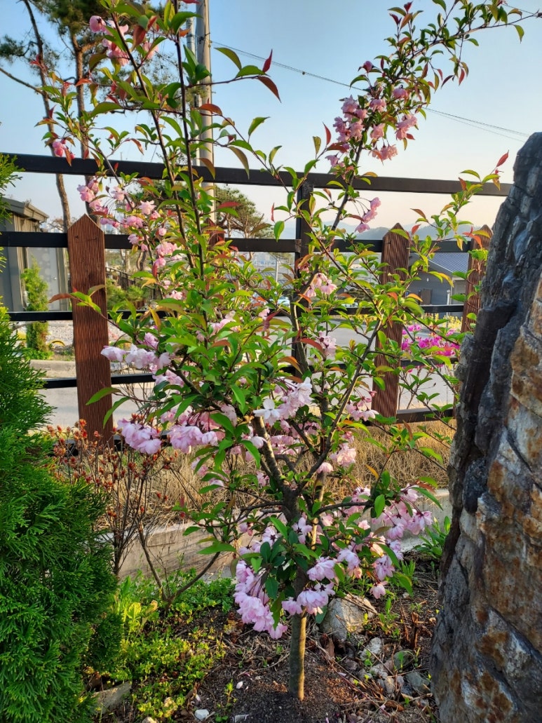 해당화스튜디오 이미지
