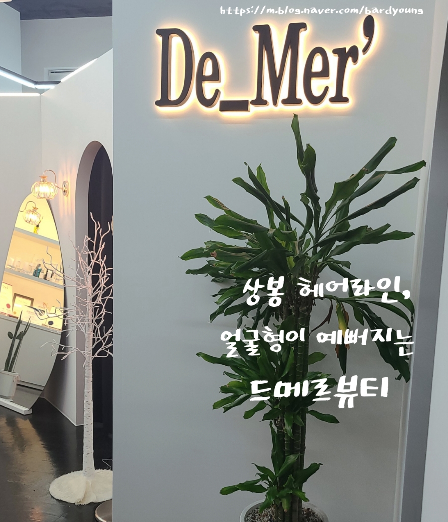 드메르뷰티 이미지