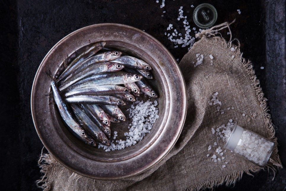 안쵸비(Anchovy) 이미지