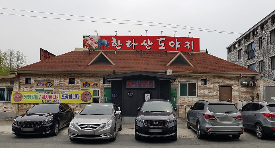 한라산도야지 이미지