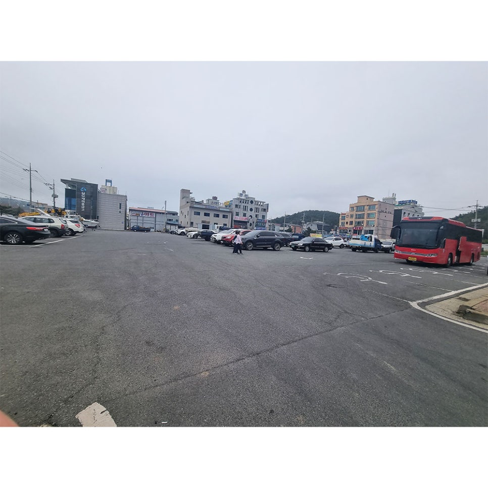 신진도수산 이미지
