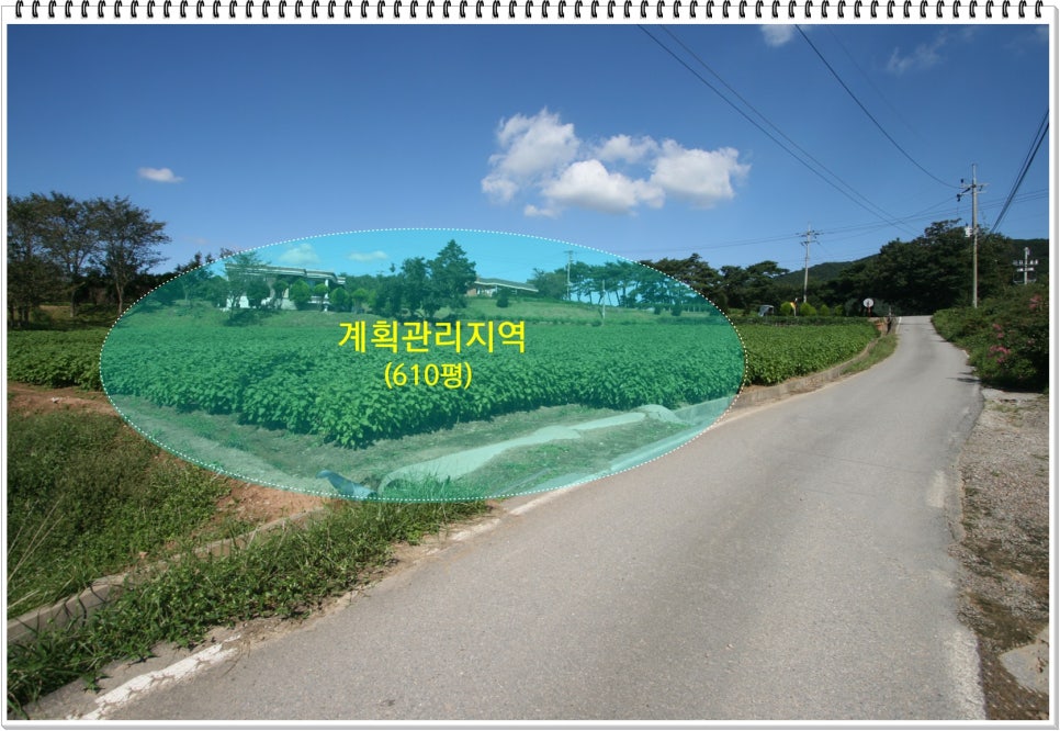 정미농협주유소 이미지