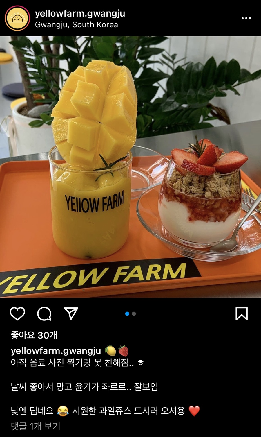 옐로우팜광주 이미지