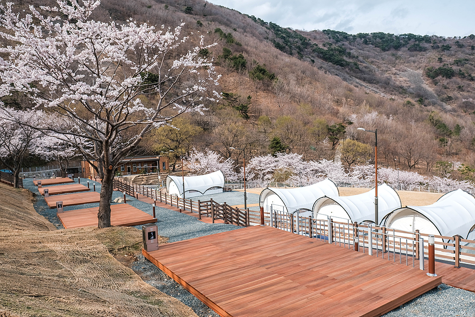 월아산자락 이미지