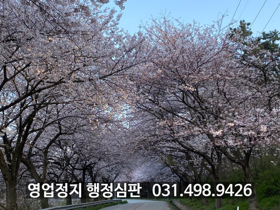 나래행정사사무소 이미지