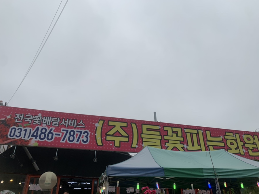 들꽃피는화원 이미지