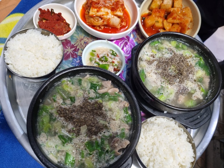 정순대 이미지