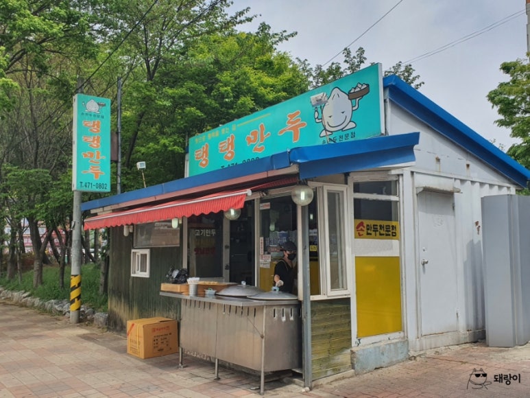 탱탱만두 이미지