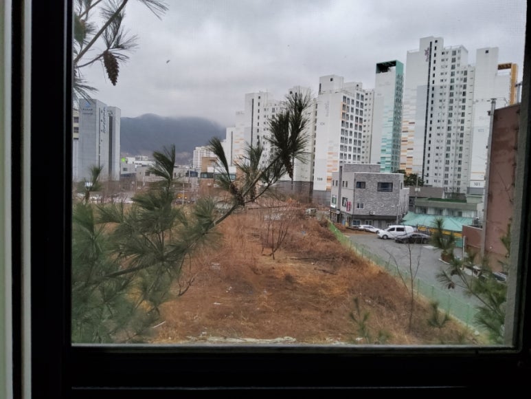 필림37.2 이미지
