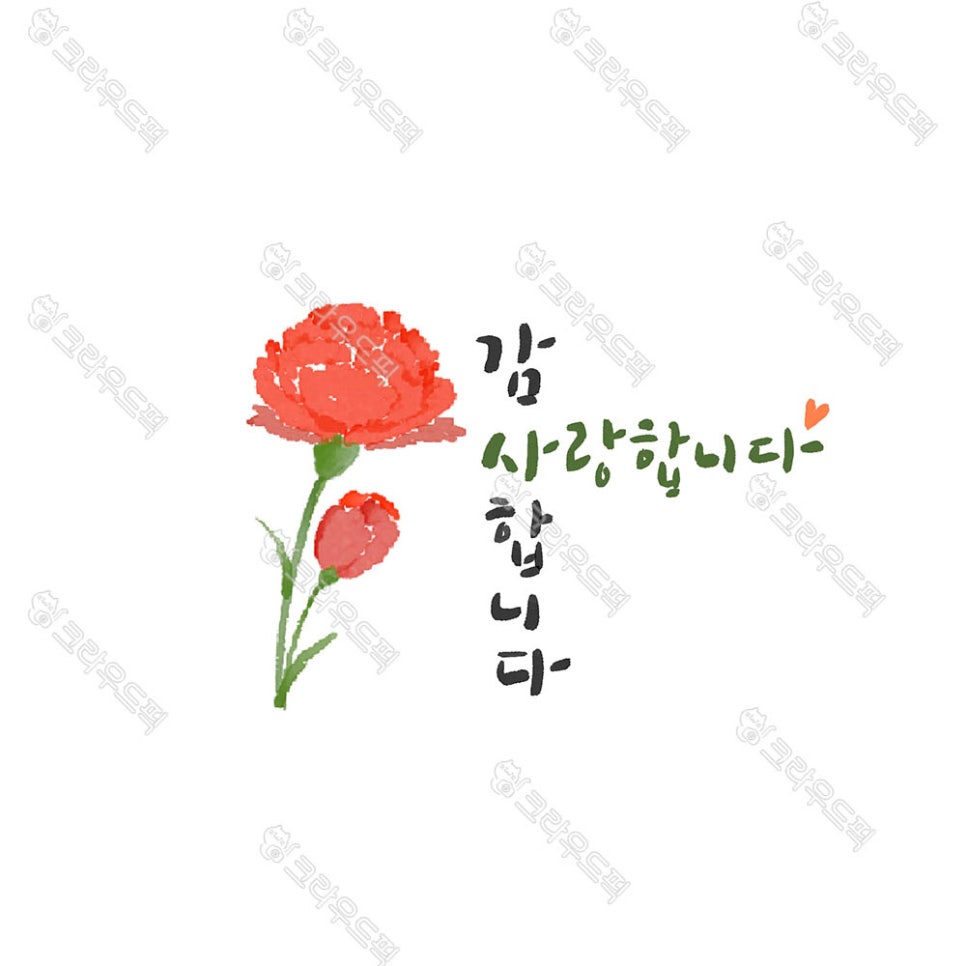 다운문구 이미지