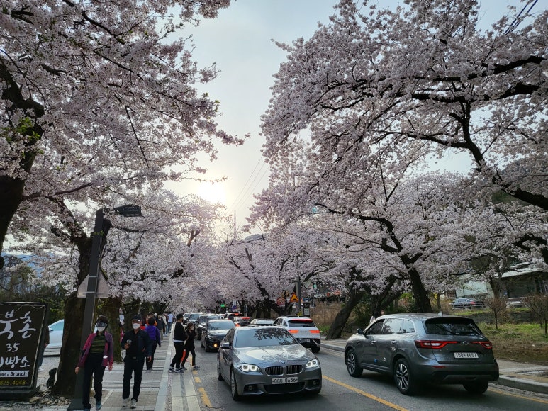 카페인중독논산 이미지