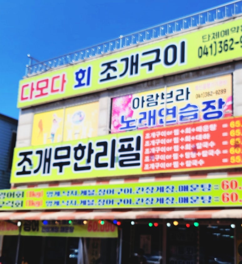 다모다 이미지