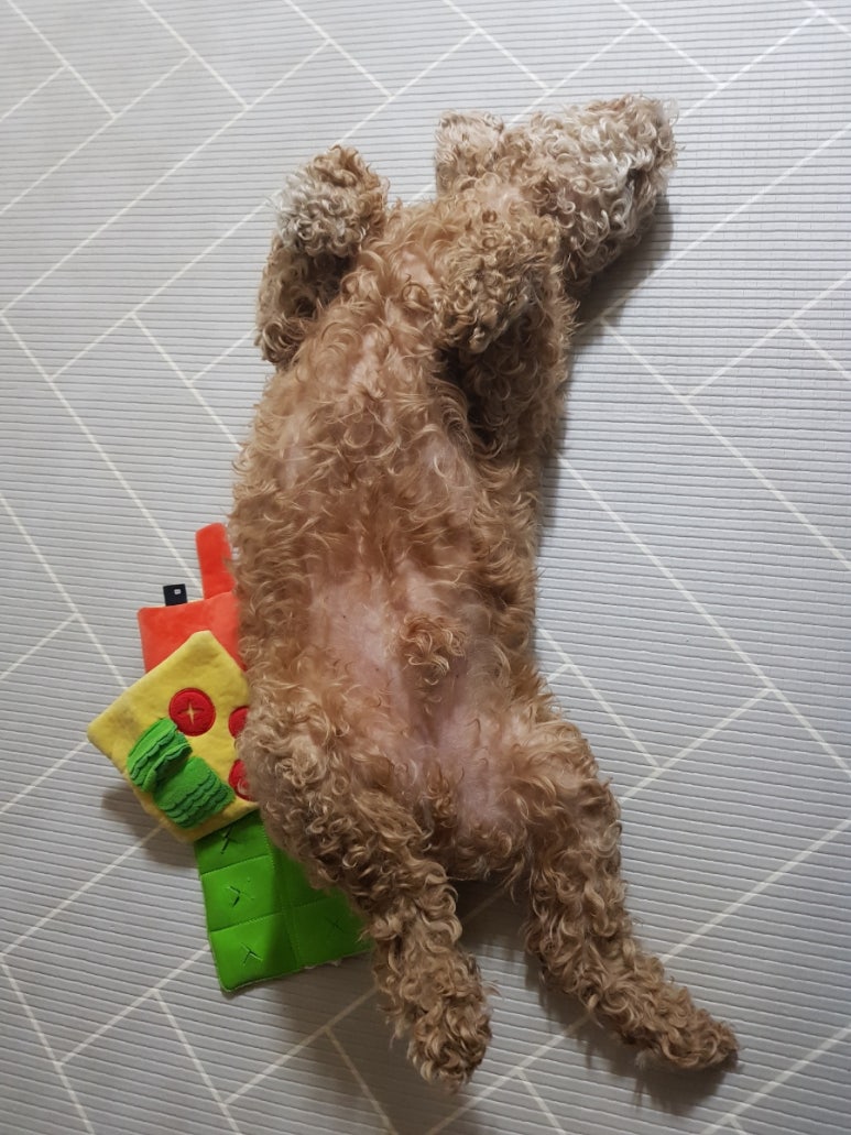 크리애헤어 이미지